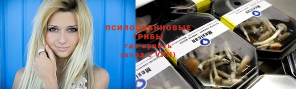 эйфоретик Богородицк