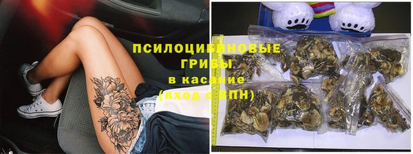 эйфоретик Богородицк