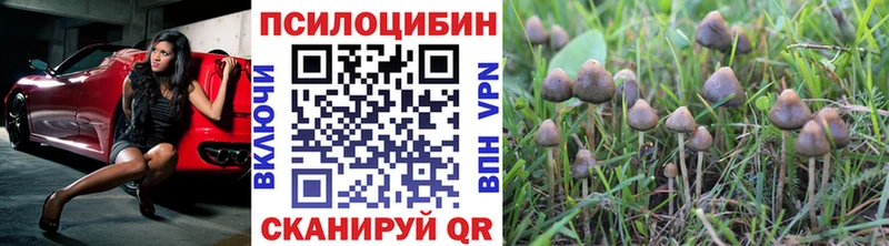 где купить наркоту  Афипский  Галлюциногенные грибы мицелий 